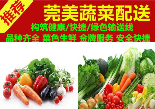 工程承包本土農產品供應 推動農副產品流通與區域經濟發展