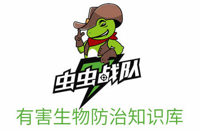 揭秘雙刺猛蟻屬特征及有害生物防治指南