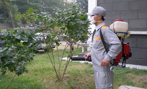 國(guó)家職業(yè)資格證書林業(yè)有害生物防治員報(bào)名報(bào)考及辦理指南